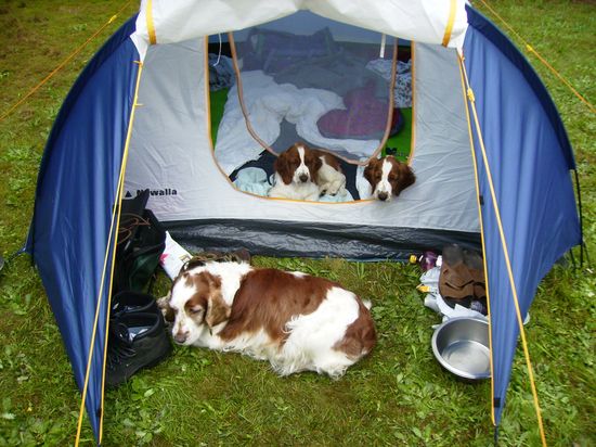 Naše stanová bouda pro 2 lidi a 4 psy