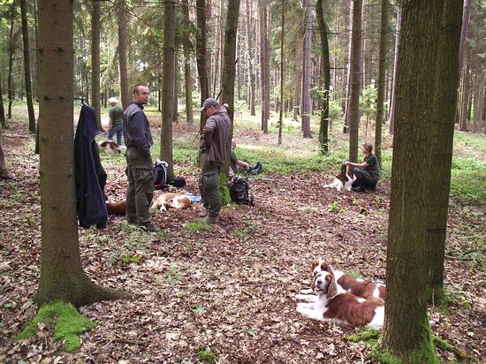 Účastníci srazu WSS čekající při výcviku v lese