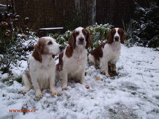 Kety, Gira a Arwen na zasněžené zahradě