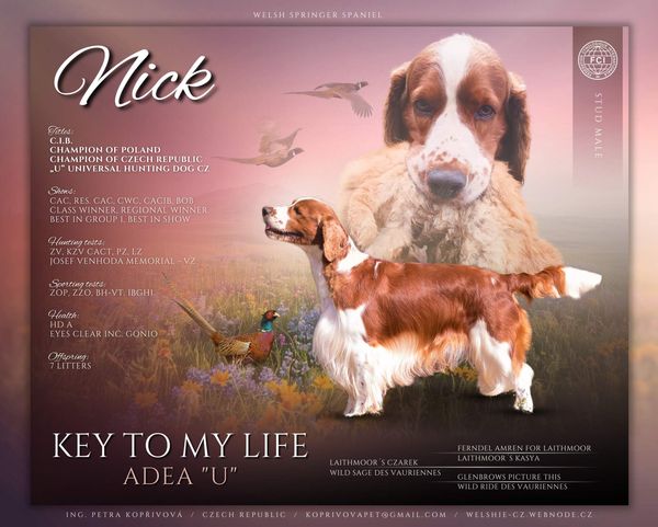 NICK
